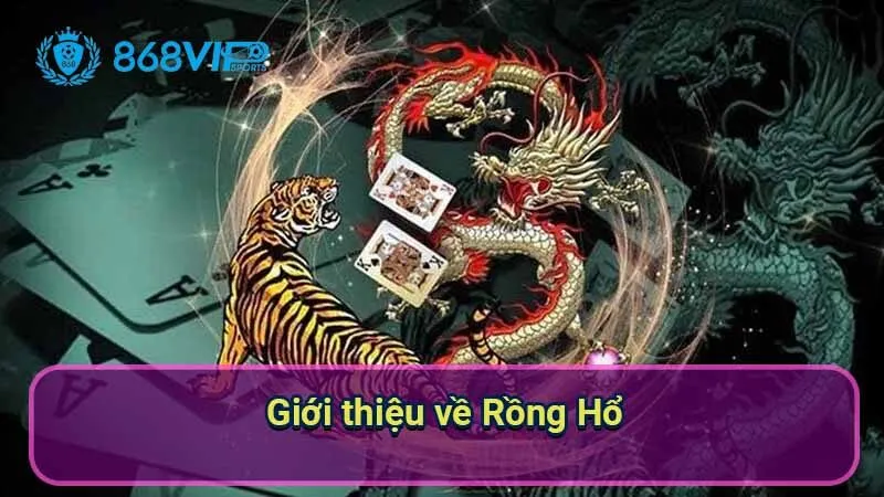 gioi-thieu-ve-rong-ho